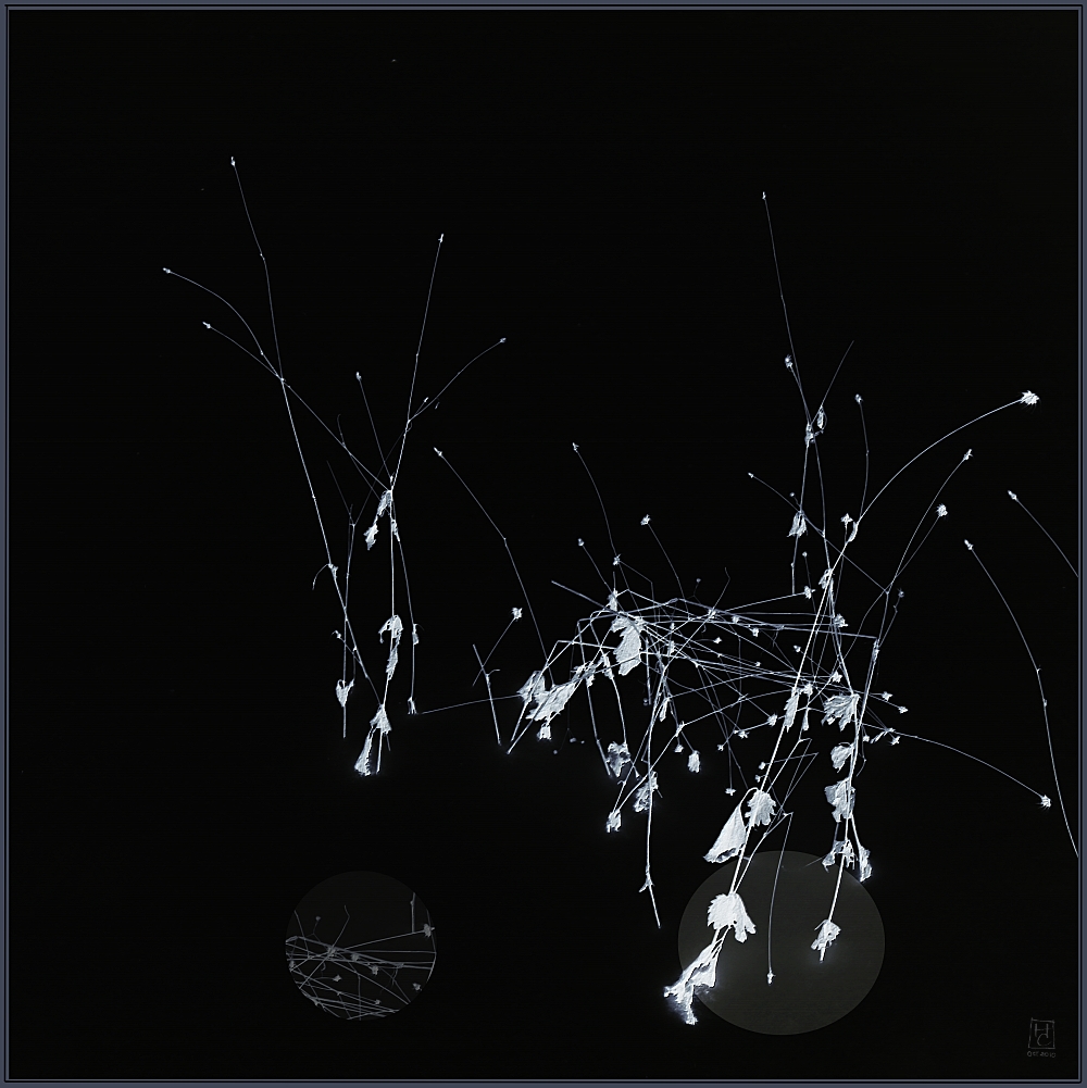 зимняя трава