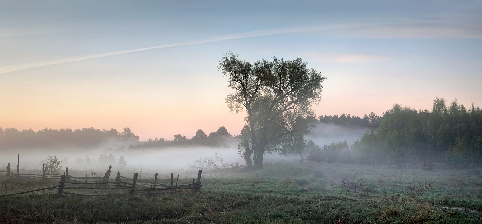 Пока туманы спят..