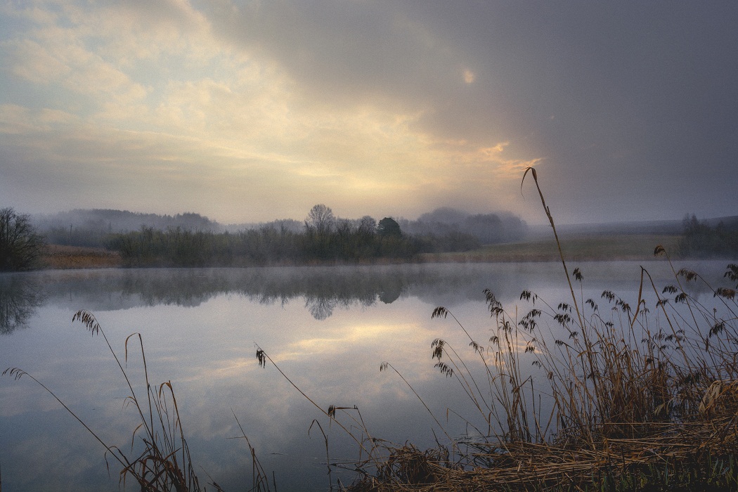 Туманное утро весны.