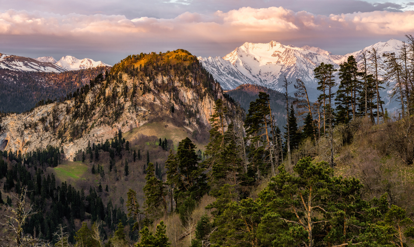 Утро у Афонки