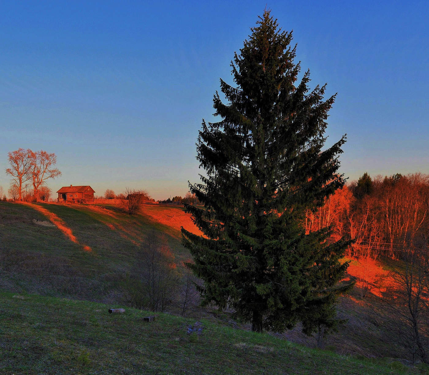 "Малиново-апельсинные сумерки"