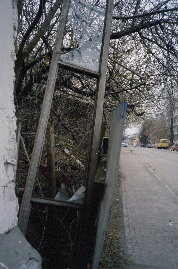 два мира, два шапиро