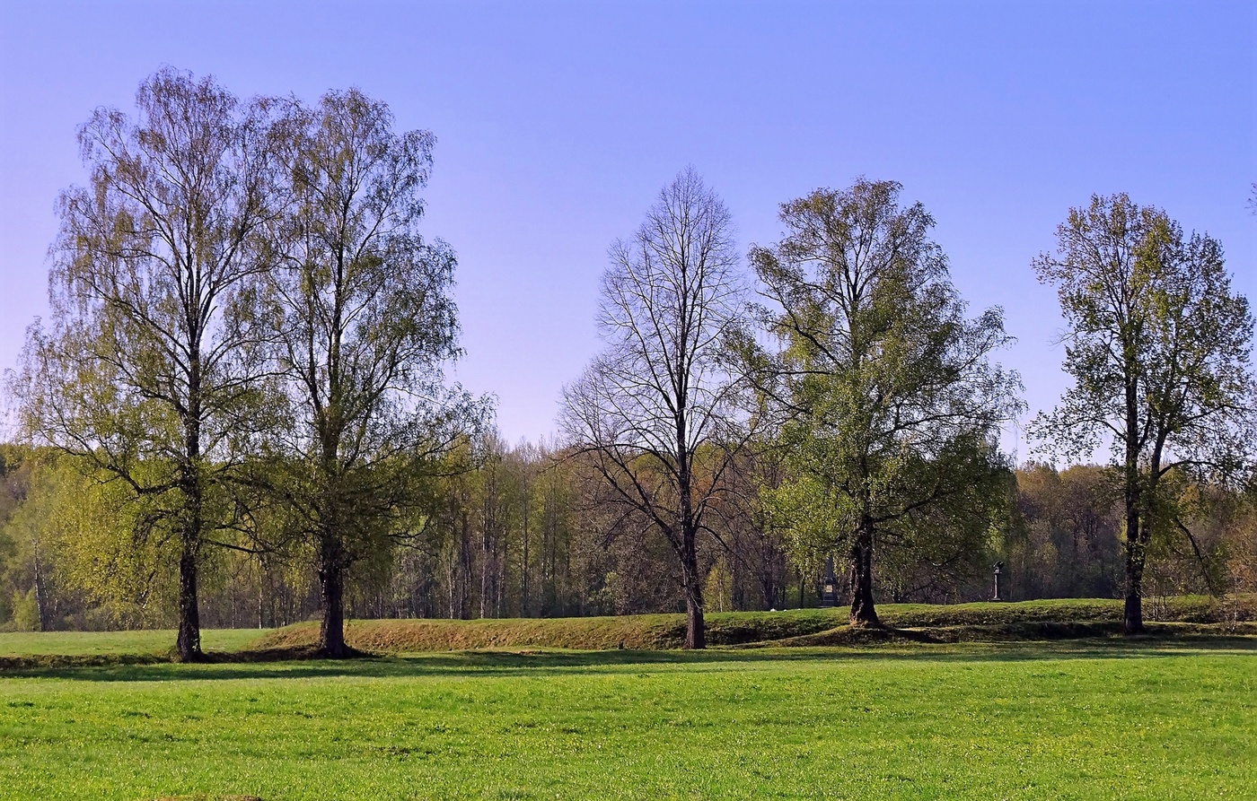 Багратионовы флеши