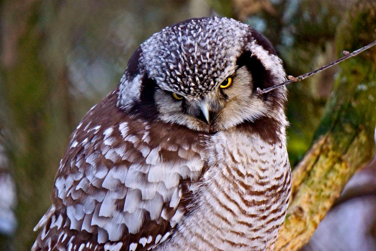 А вам — как живётся?