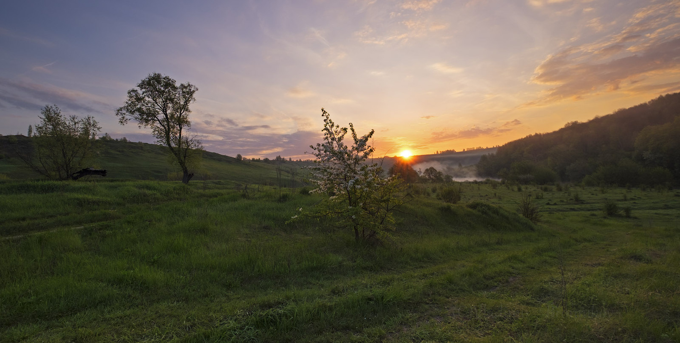 Рассветное цветение.