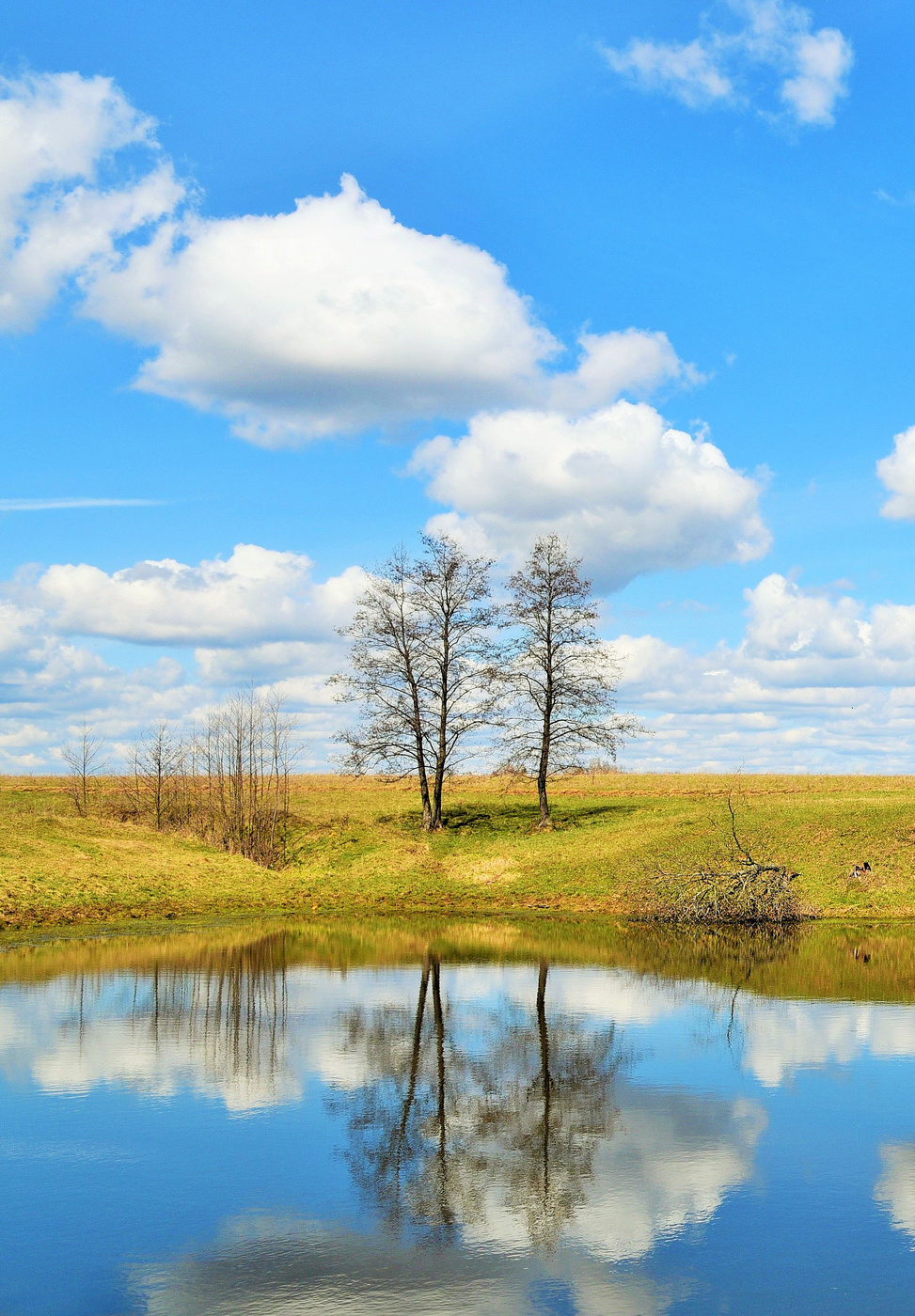 "И та же даль... и пруд..."