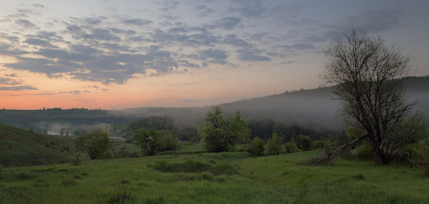В ожидании рассвета.