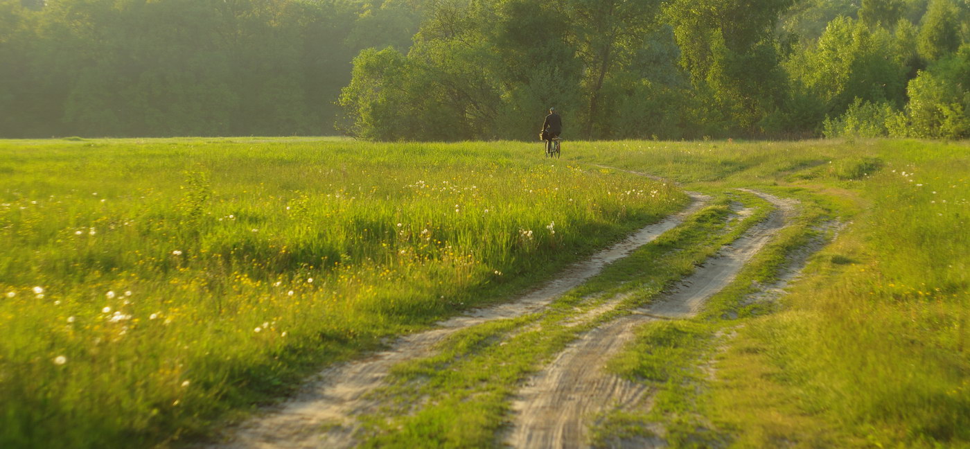 По дорогам луговым
