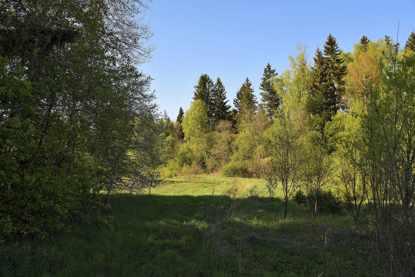 Выйдя за околицу ...