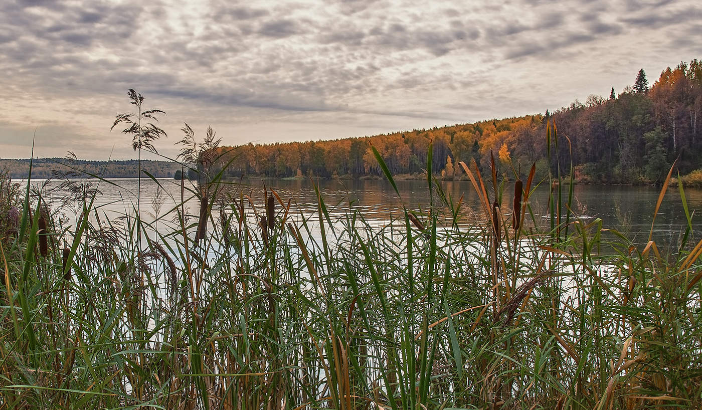 Осенний этюд