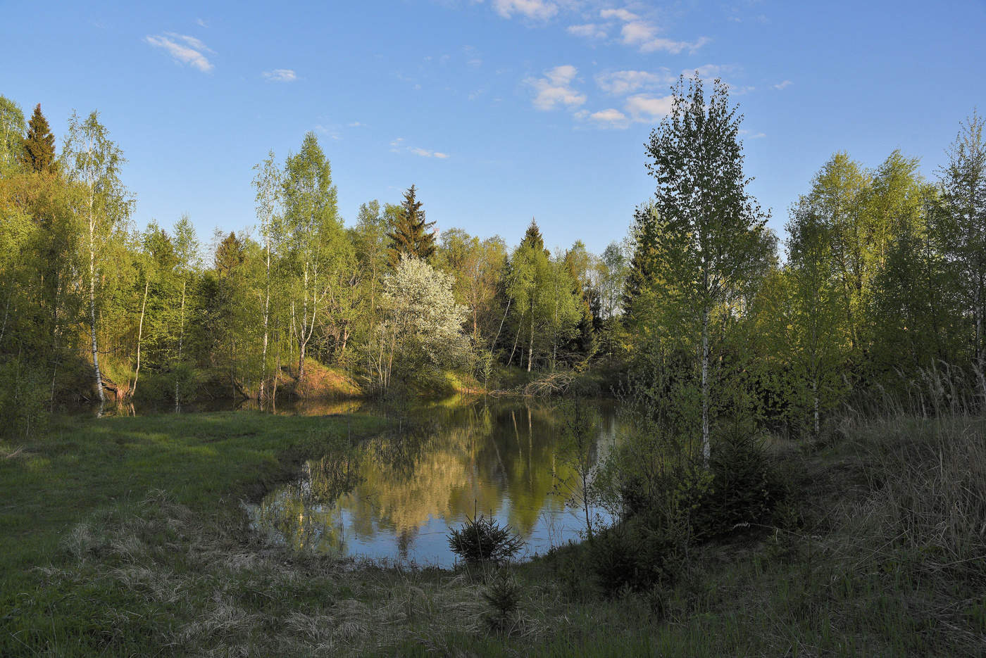 "Тишина! Как просто все вокруг!"