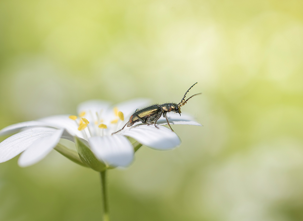 На встречу новому дню