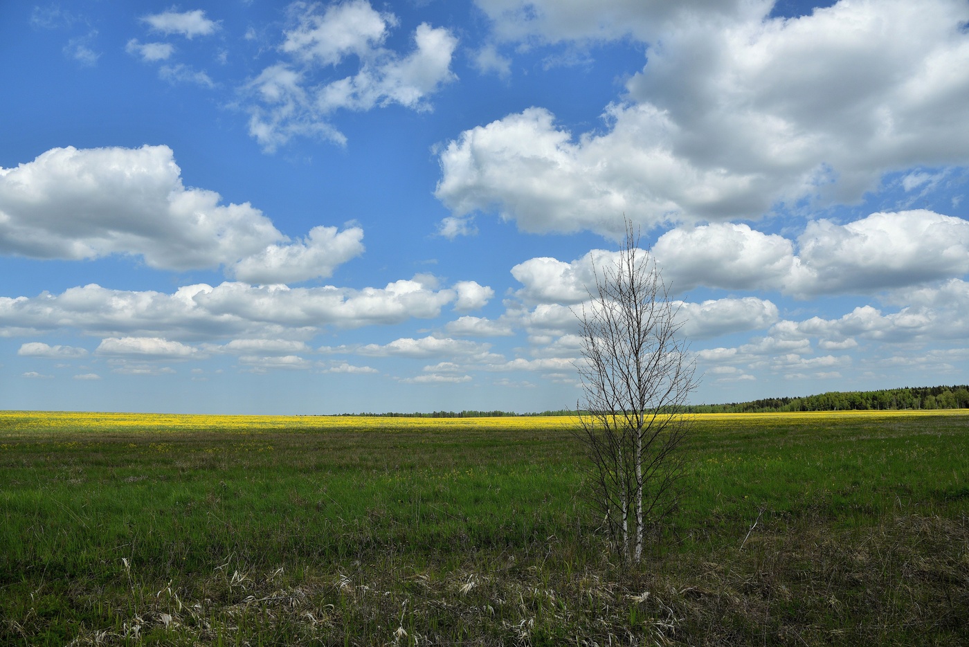 "Там, где вечно дремлет тайна"