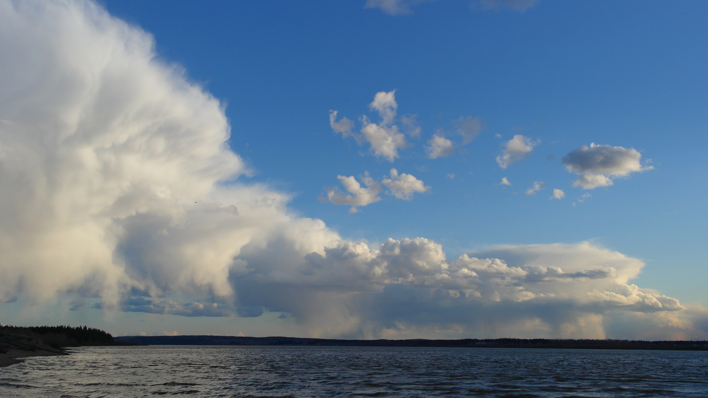 Экспрессия.