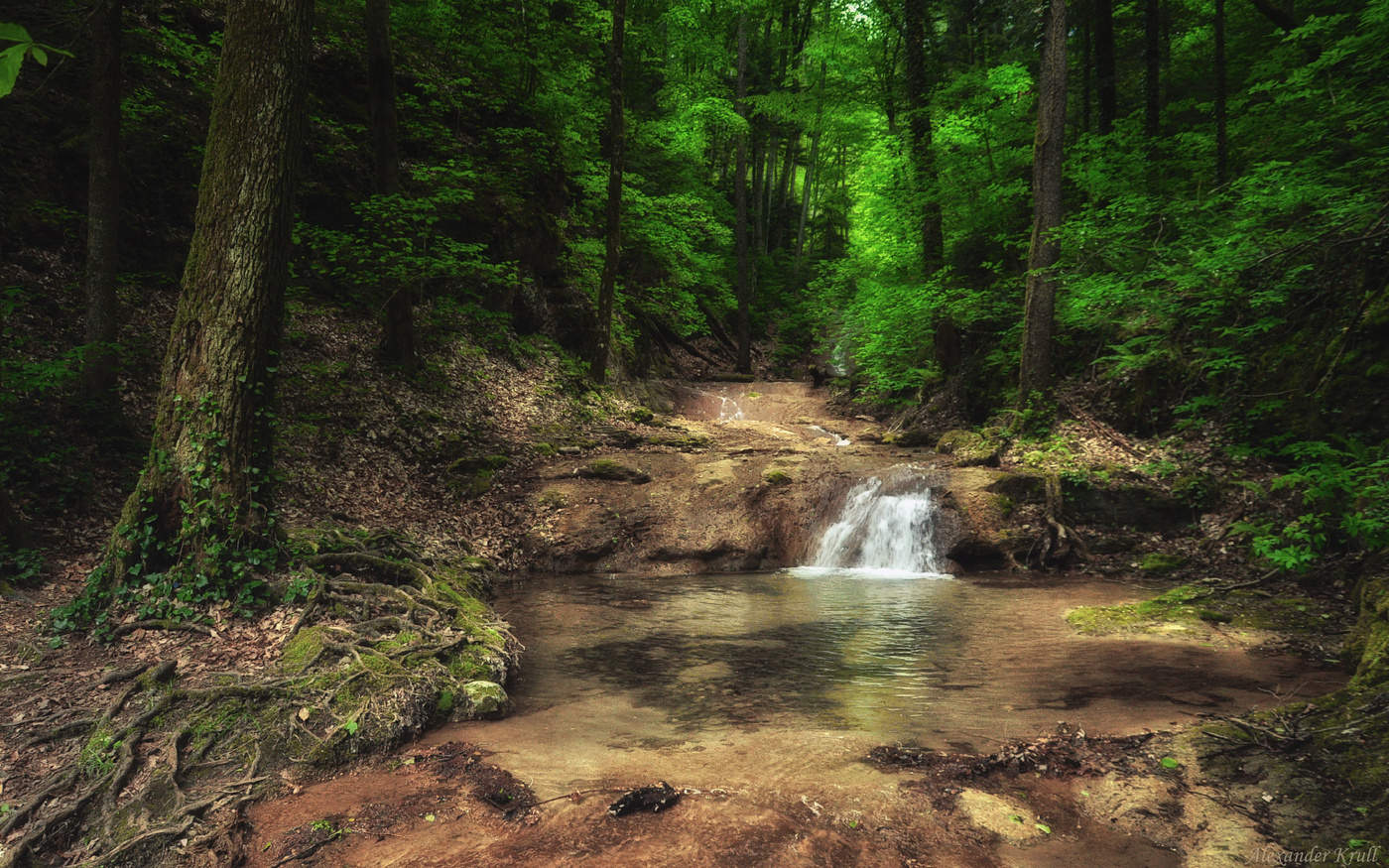 Где-то в Кубанских дебрях...