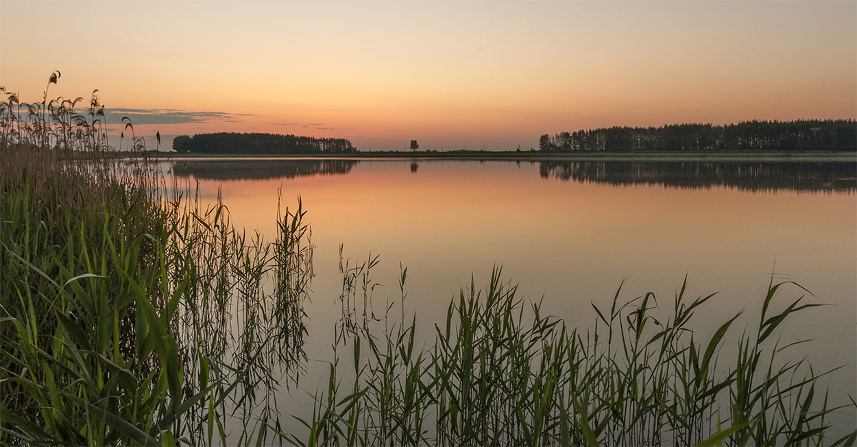 Предрассветная тишина.