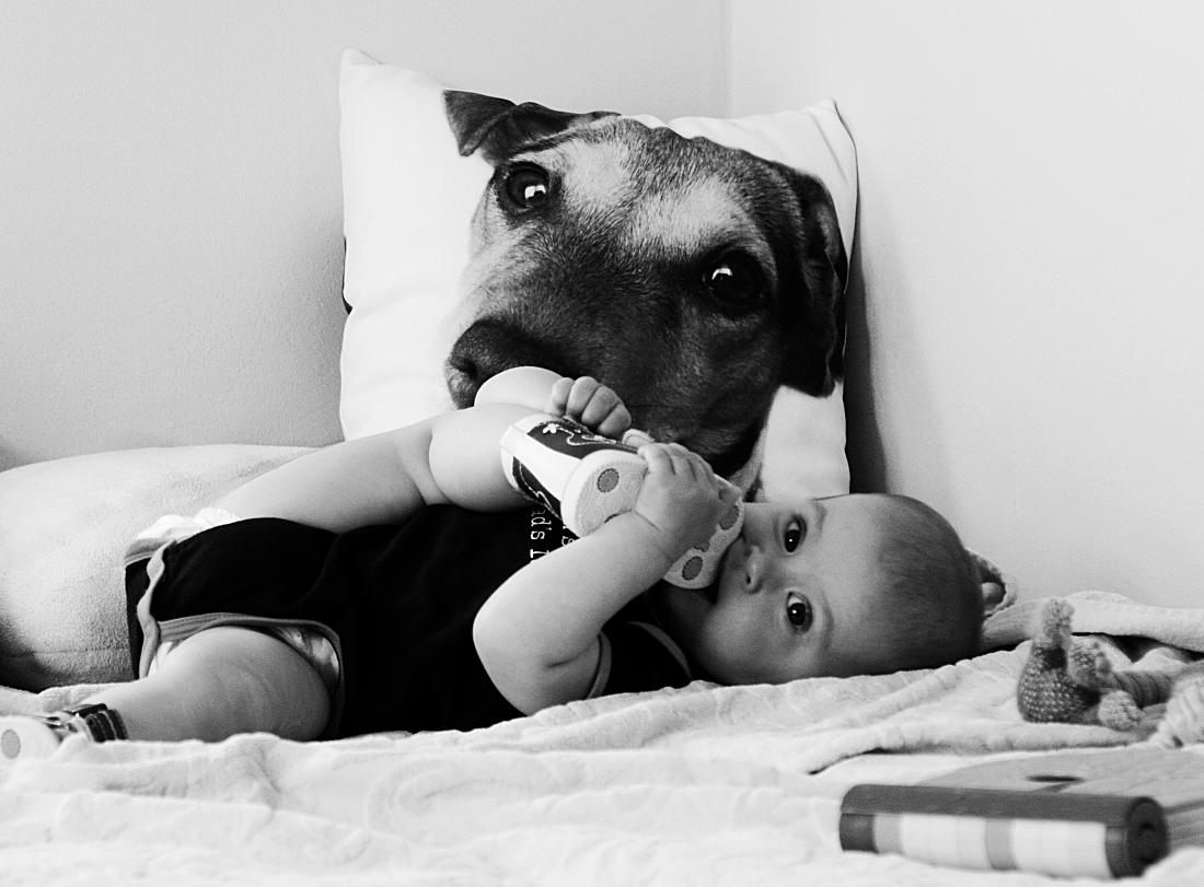 Штрихи к портрету