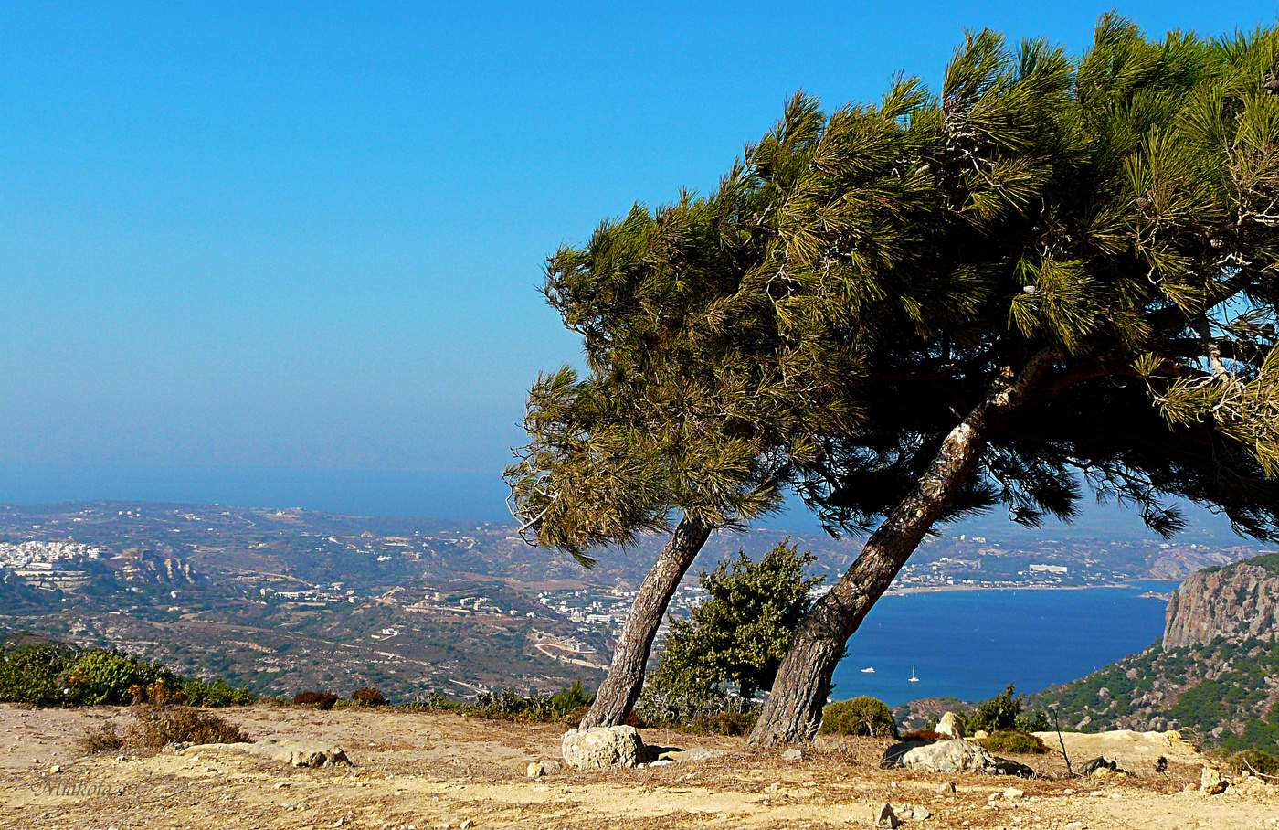 На семи ветрах