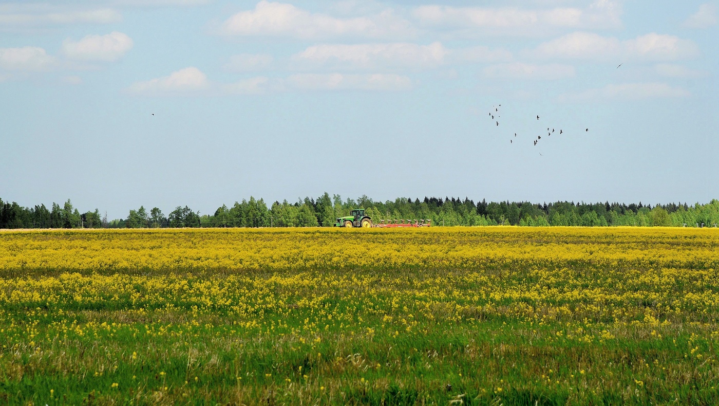 "Соседи твои работАют давно..."