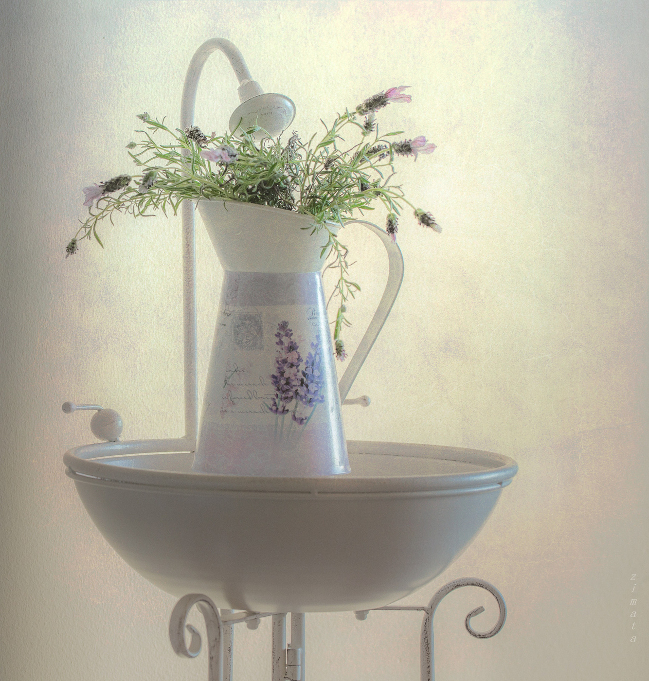 цвет лаванды