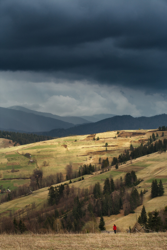 В ожидании грозы