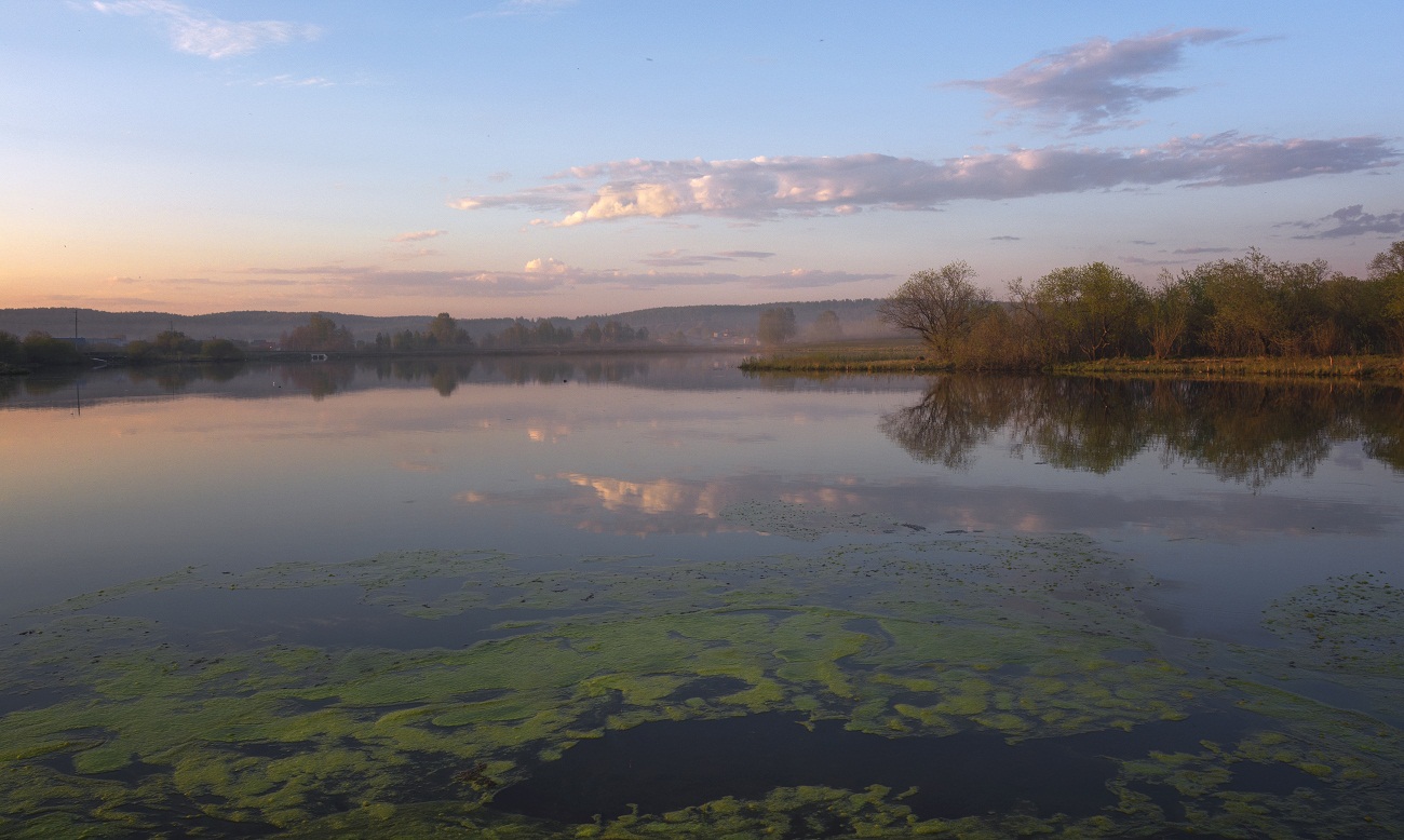 У зеленой тины:)