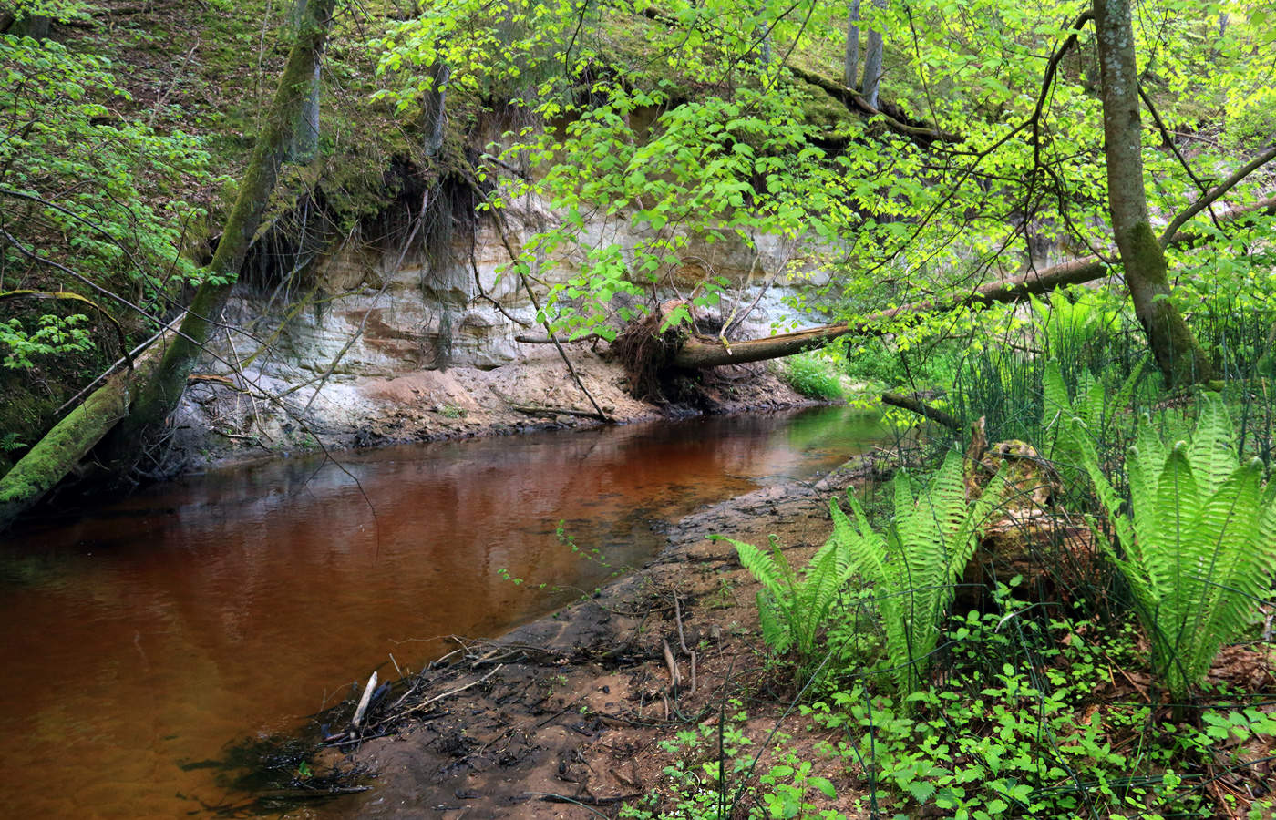 Майское утро на форелевой речке
