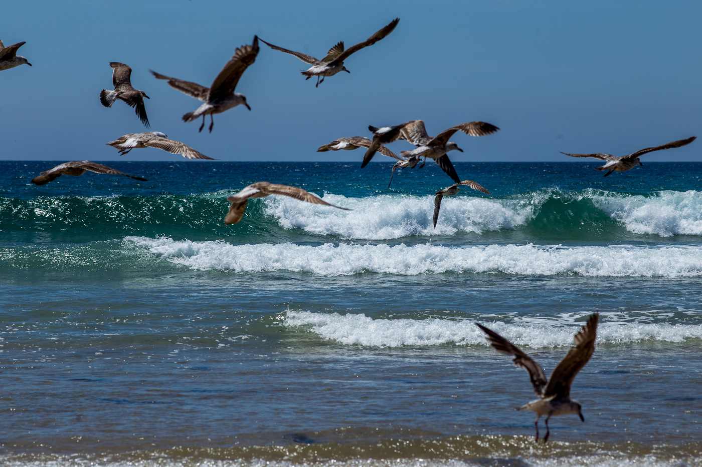 против ветра