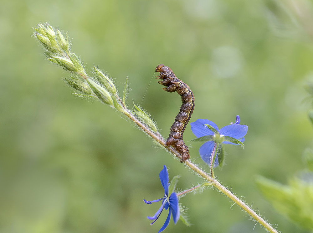 Каждый шаг как подвиг)))