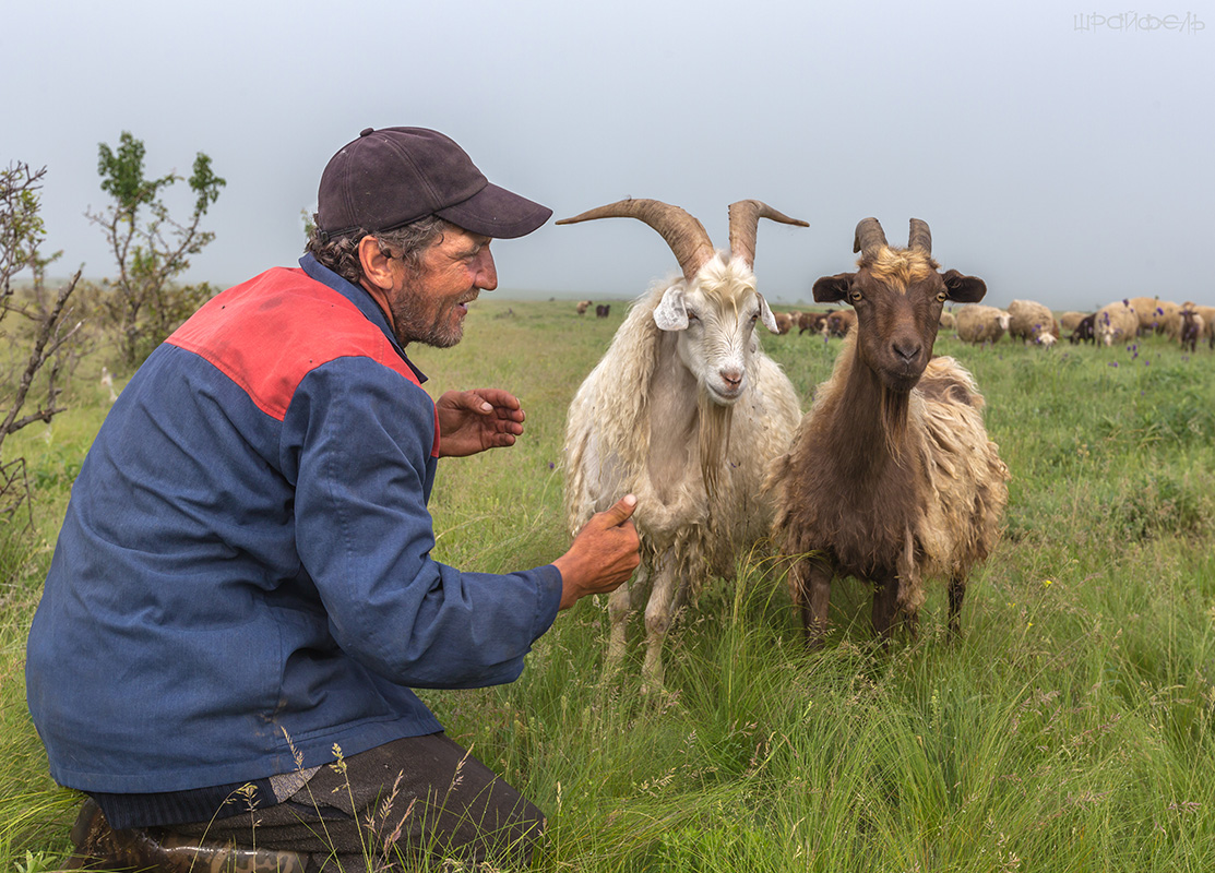 Разговоры не для всех