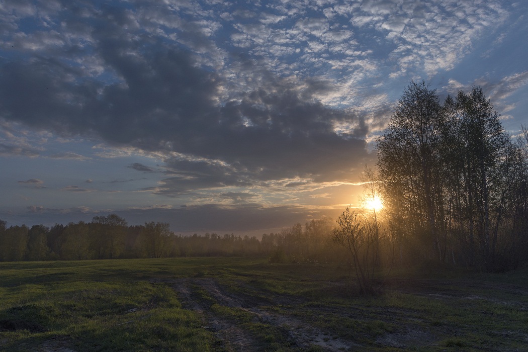 Пыль наших дорог.