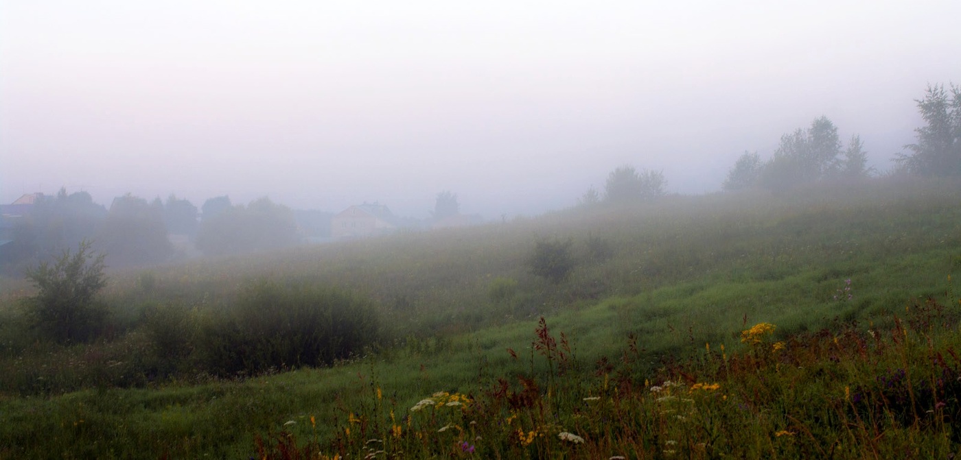 Туман в дачном посёлке