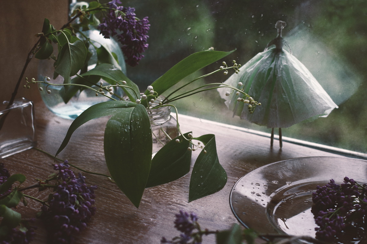 Майский дождь