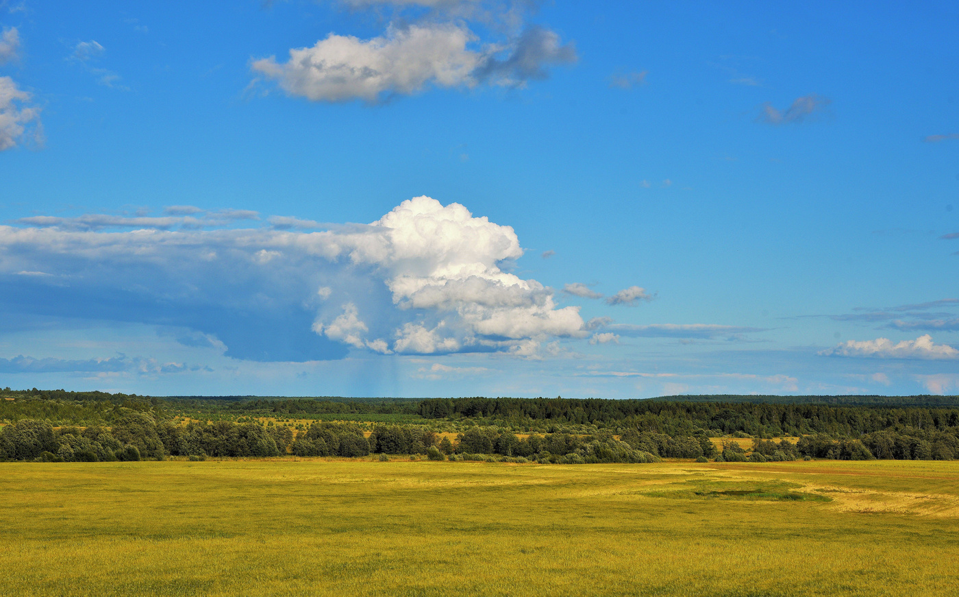 Природа - не бездушный лик...