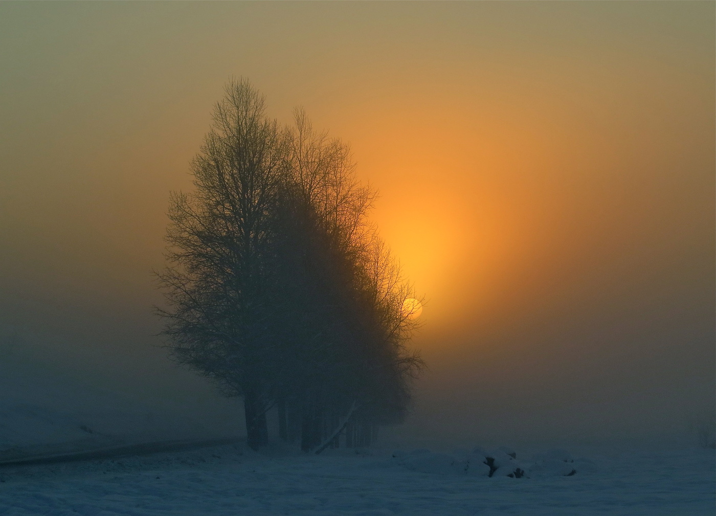 Посреди зимы