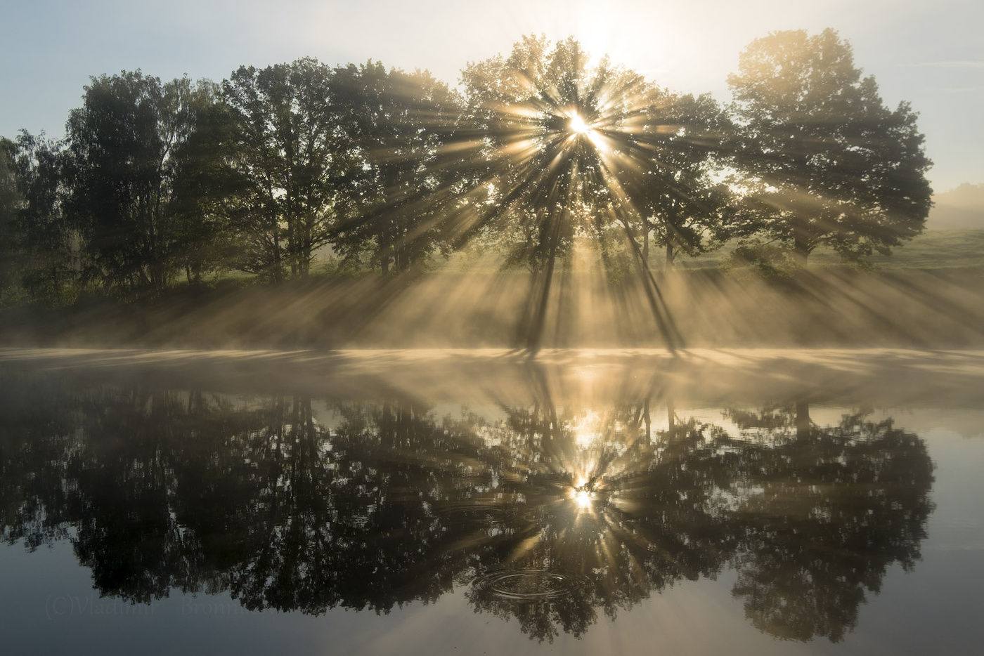 Майские рассветные лучи