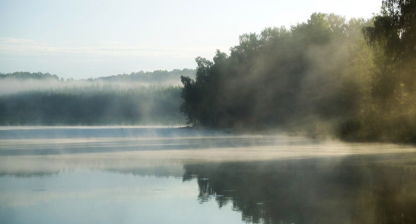 Обаяние утреннего тумана