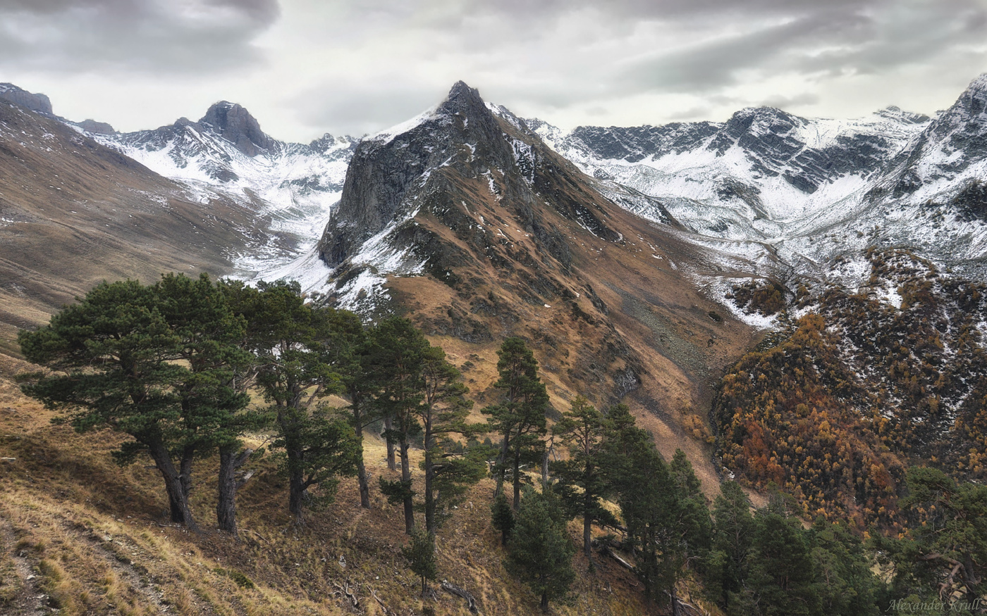 Говорящие с ветром...