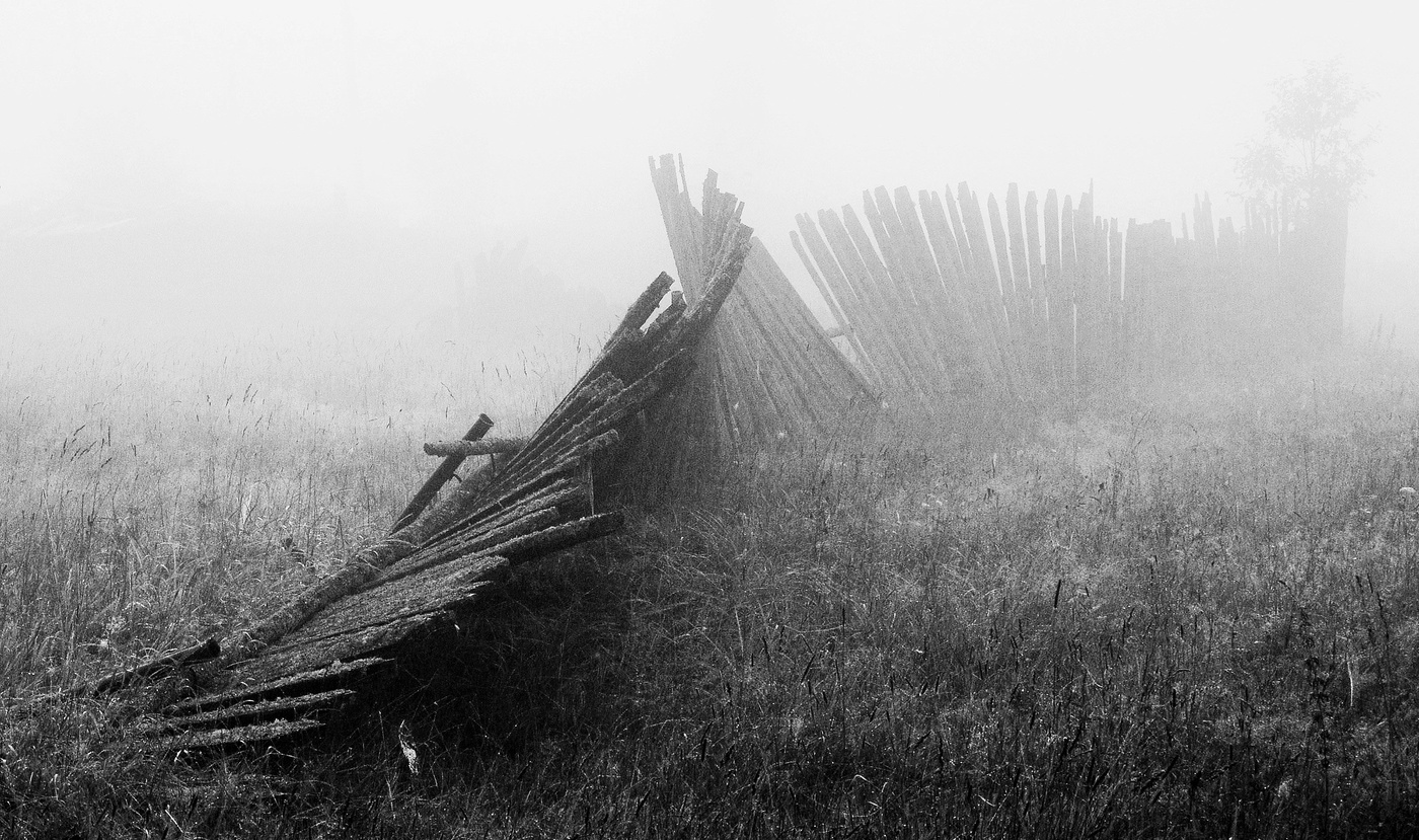 "Сырое утро ежилось и дрыхло"