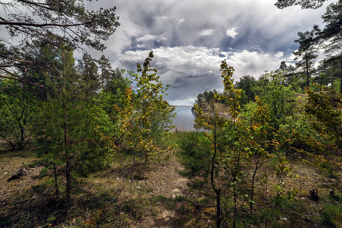 Тропинка к озеру...