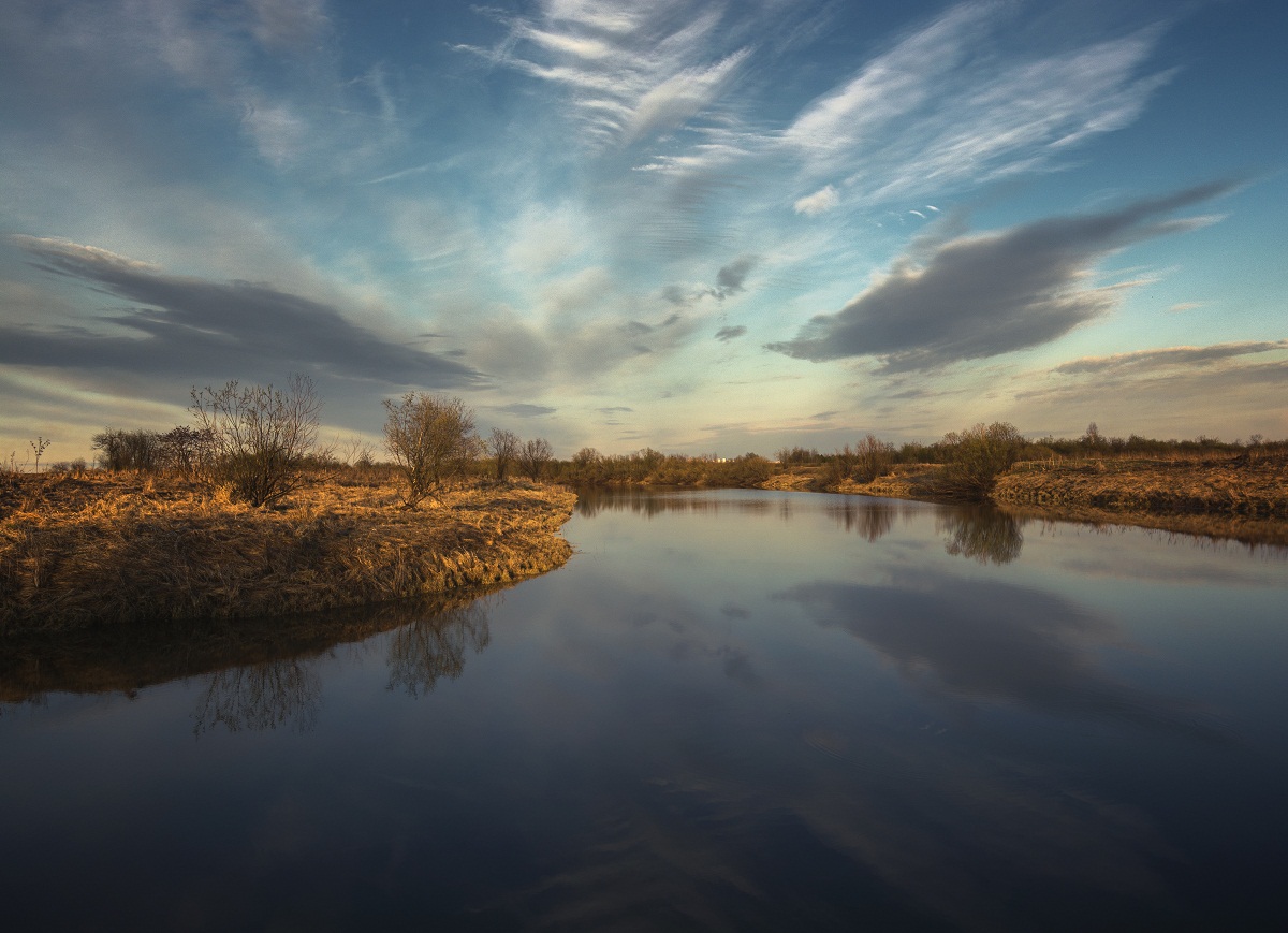 Вечерний свет весны.