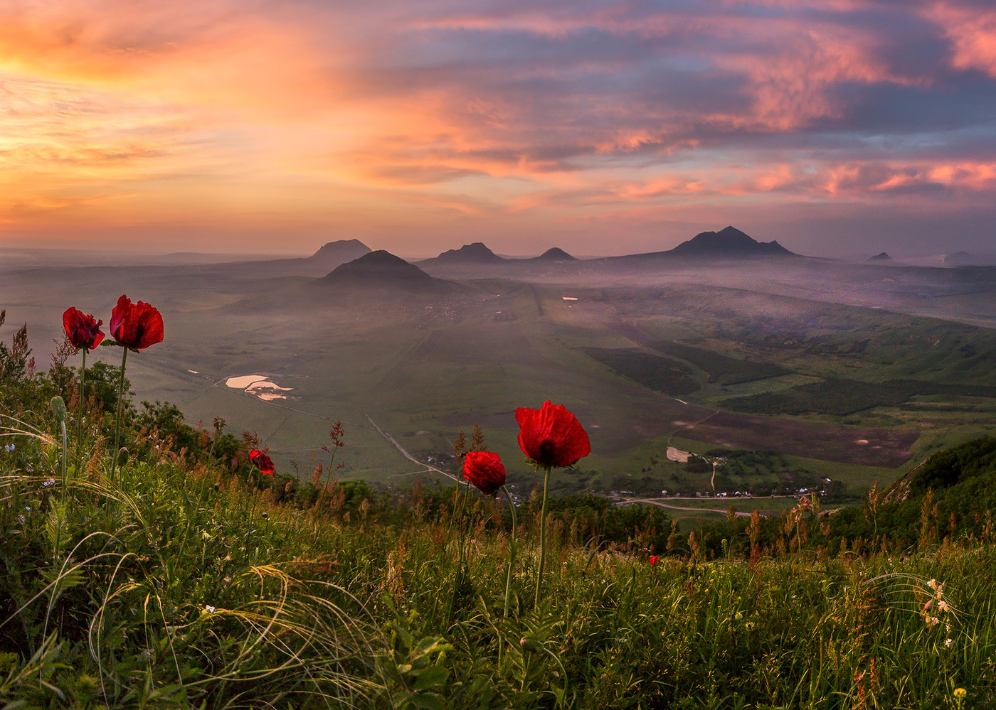 Маки на фоне гор Кавминвод.