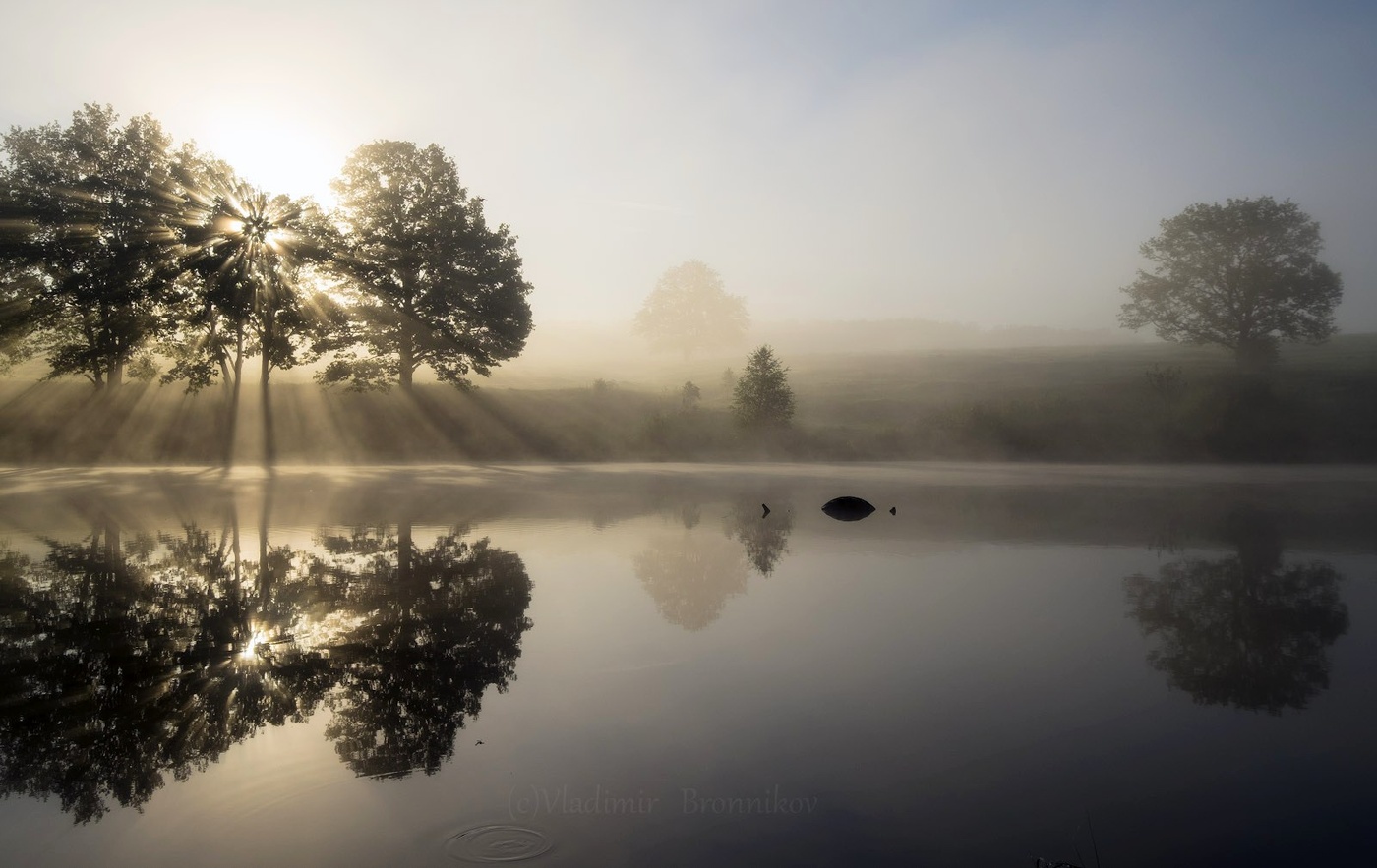 Туманно-рассветное утро