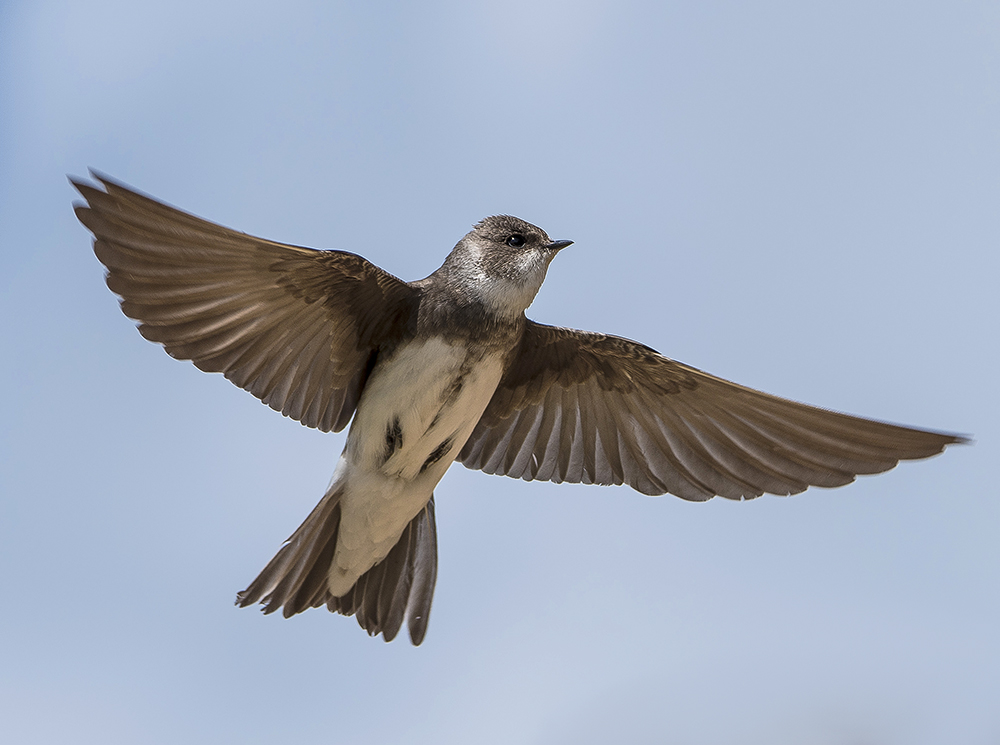 Наслаждение полётом.