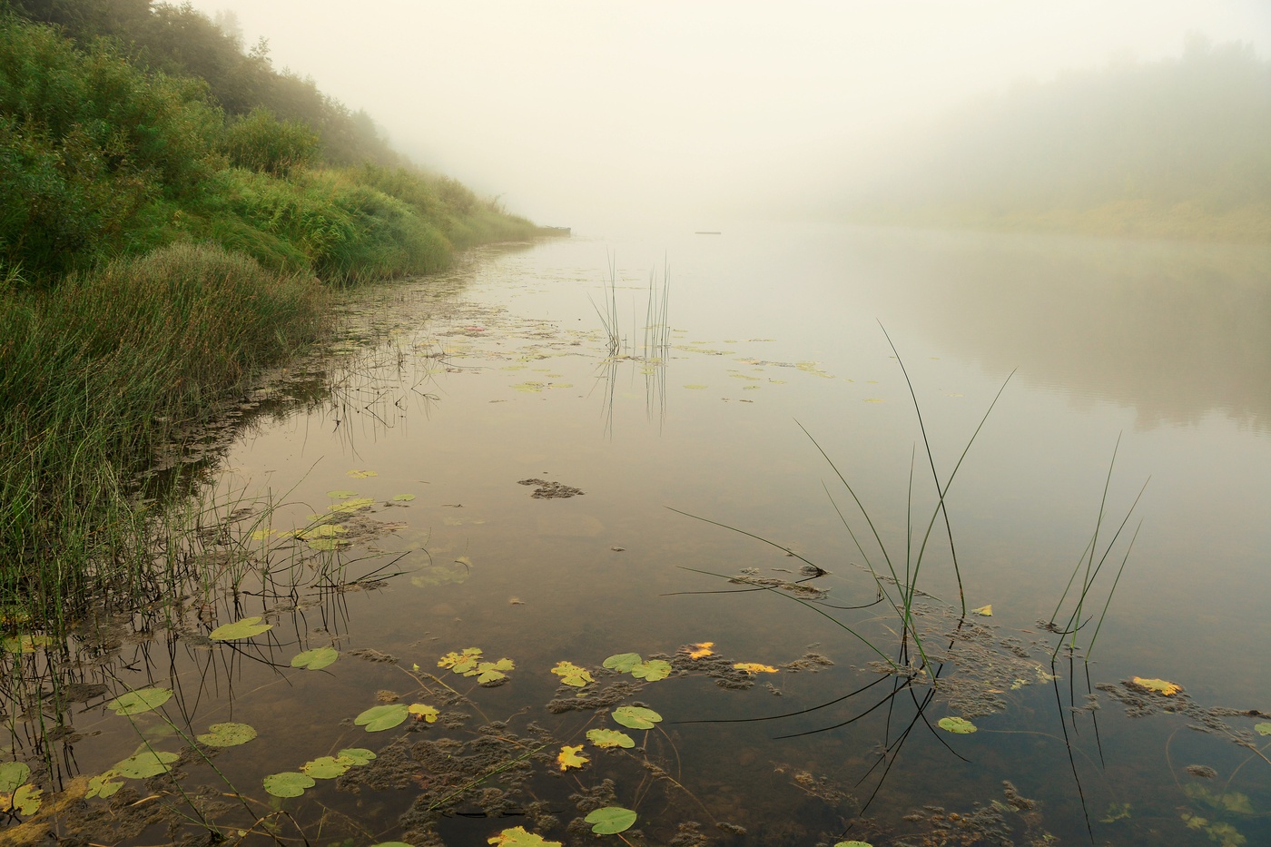 "Рассвет был сер ..."