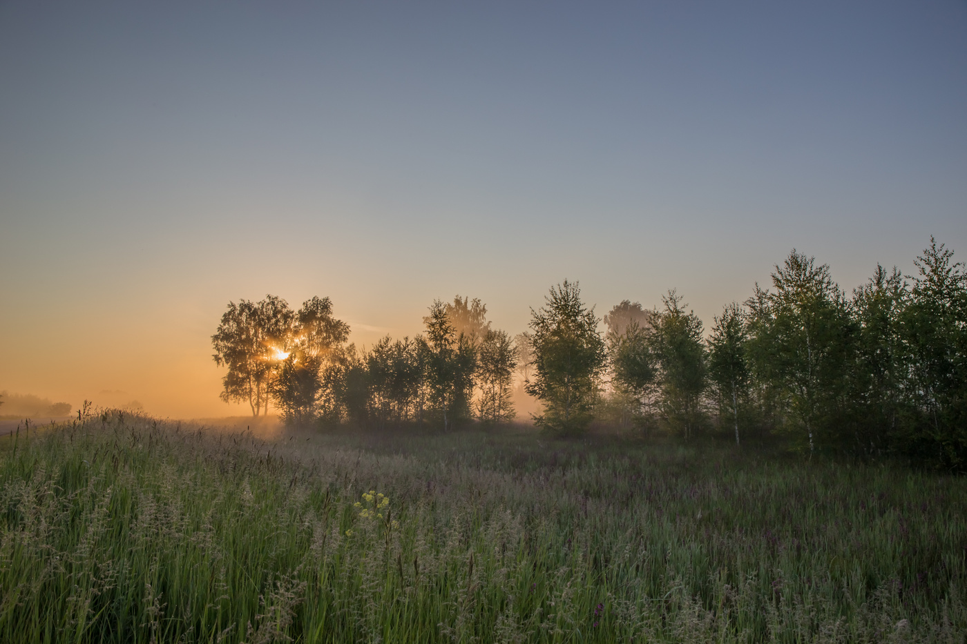 Сквозь туман