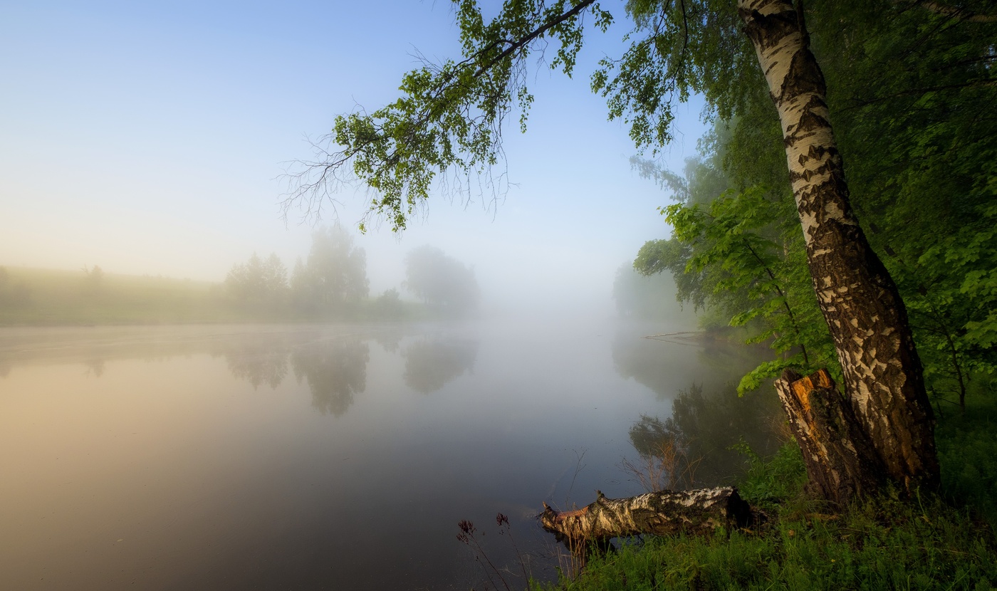 Туманная задумчивость