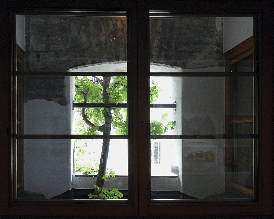 Пейзаж в окне с картинками Парра