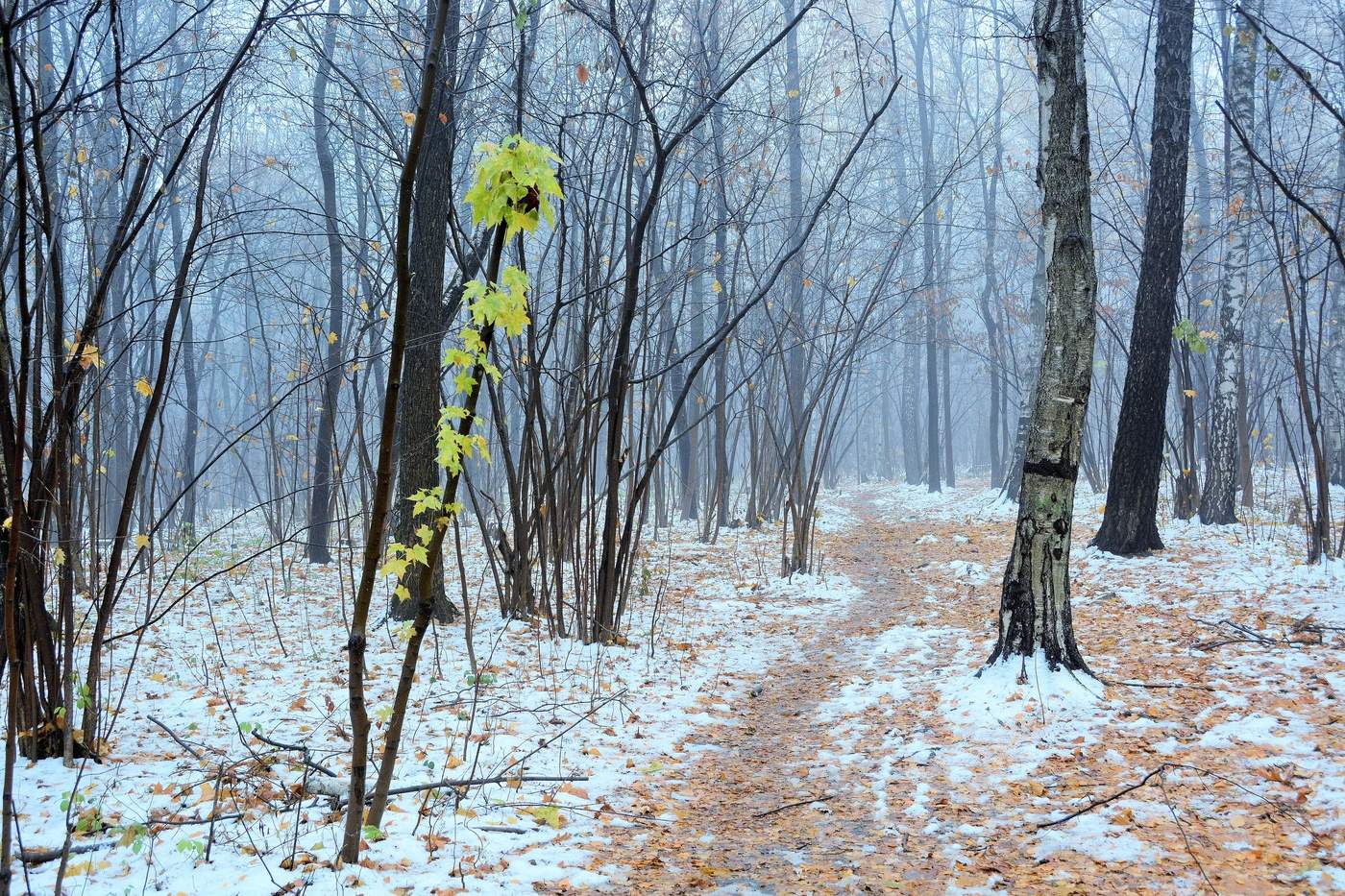 "Был воздух тих, как в лодке китолова"