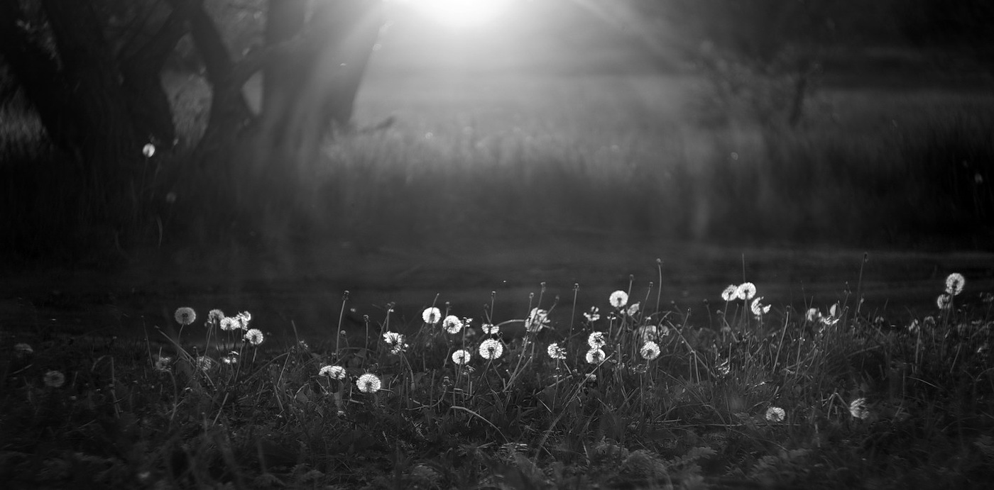 "Светлячки"